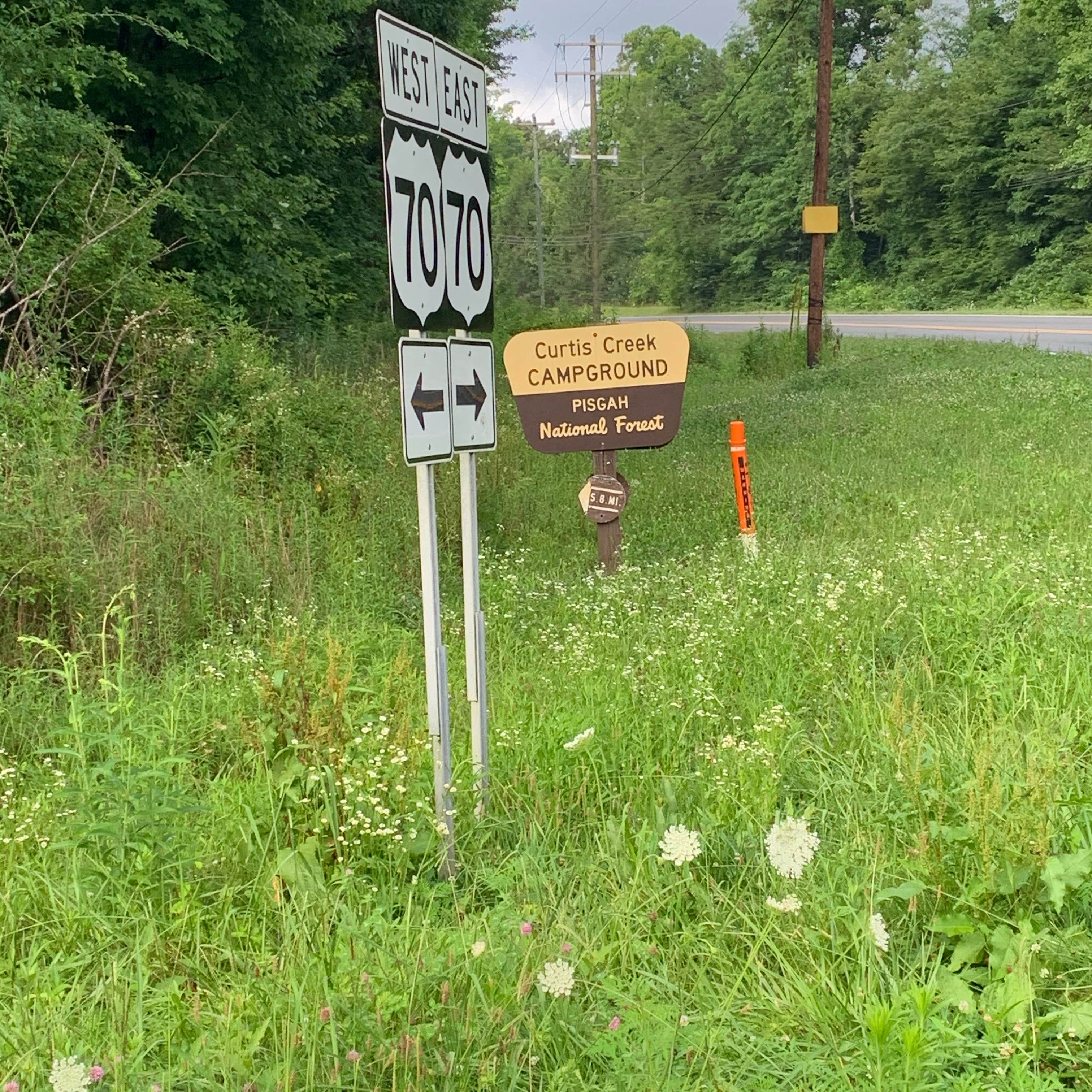 Curtis Creek Campground Camping The Dyrt