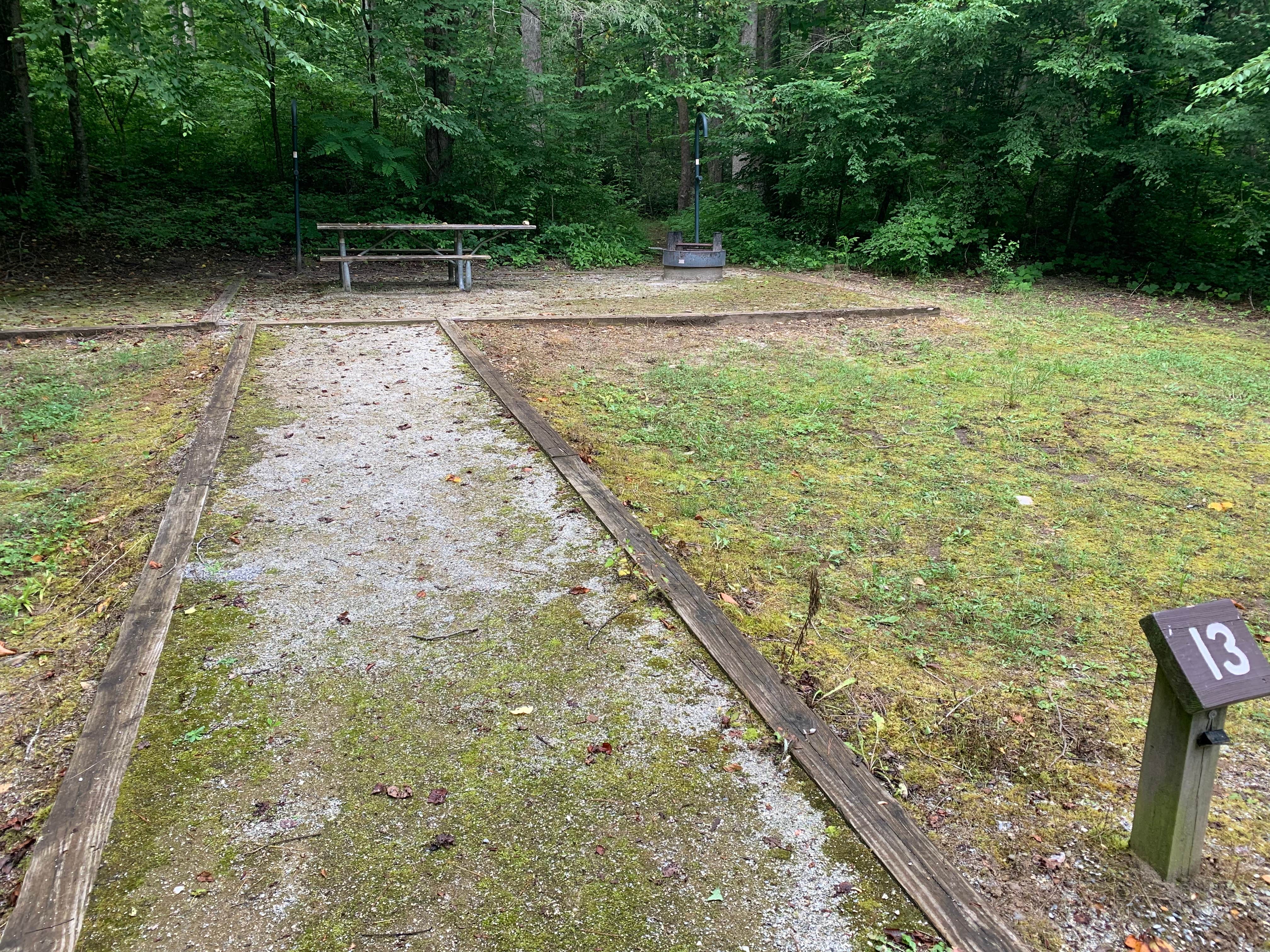 Camper submitted image from Curtis Creek Campground - 5