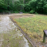 Review photo of Curtis Creek Campground by Elizabeth G., July 8, 2020