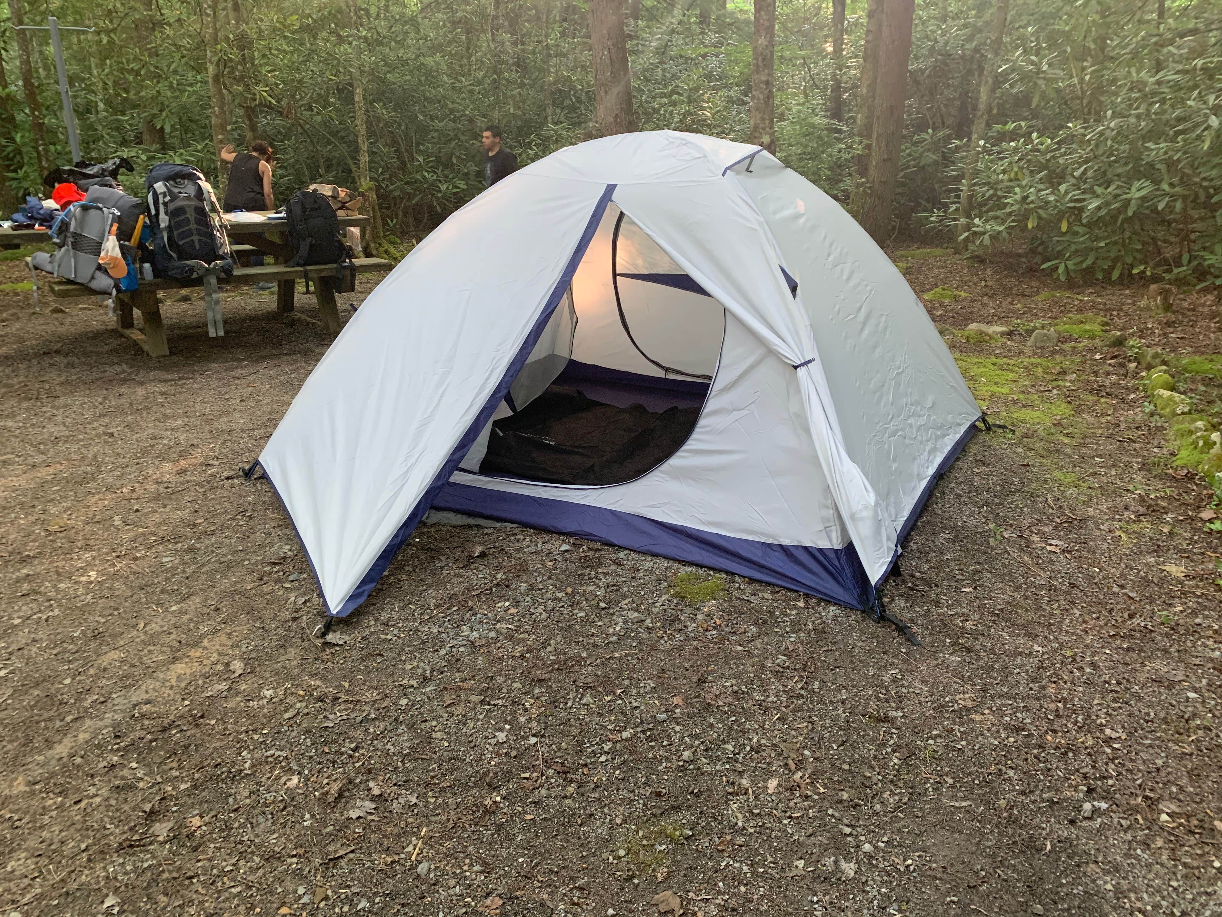 Elizabeth G.'s photo at Bear Tree Recreation Area near Laurel Bloomery, TN