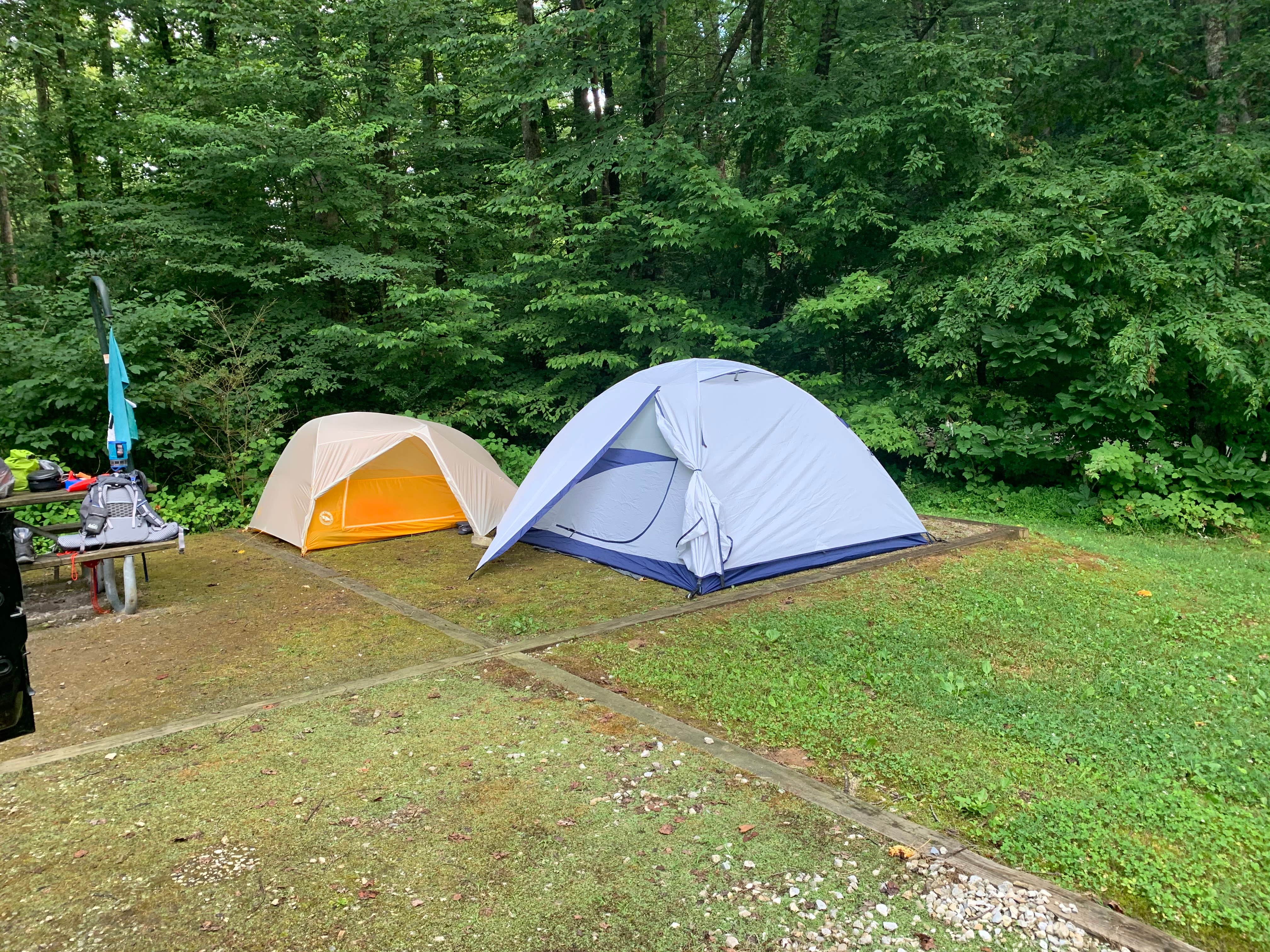 Elizabeth G.'s photo at Curtis Creek Campground near Montreat, NC