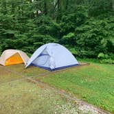 Review photo of Curtis Creek Campground by Elizabeth G., July 8, 2020