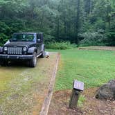 Review photo of Curtis Creek Campground by Elizabeth G., July 8, 2020