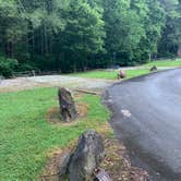 Review photo of Curtis Creek Campground by Elizabeth G., July 8, 2020