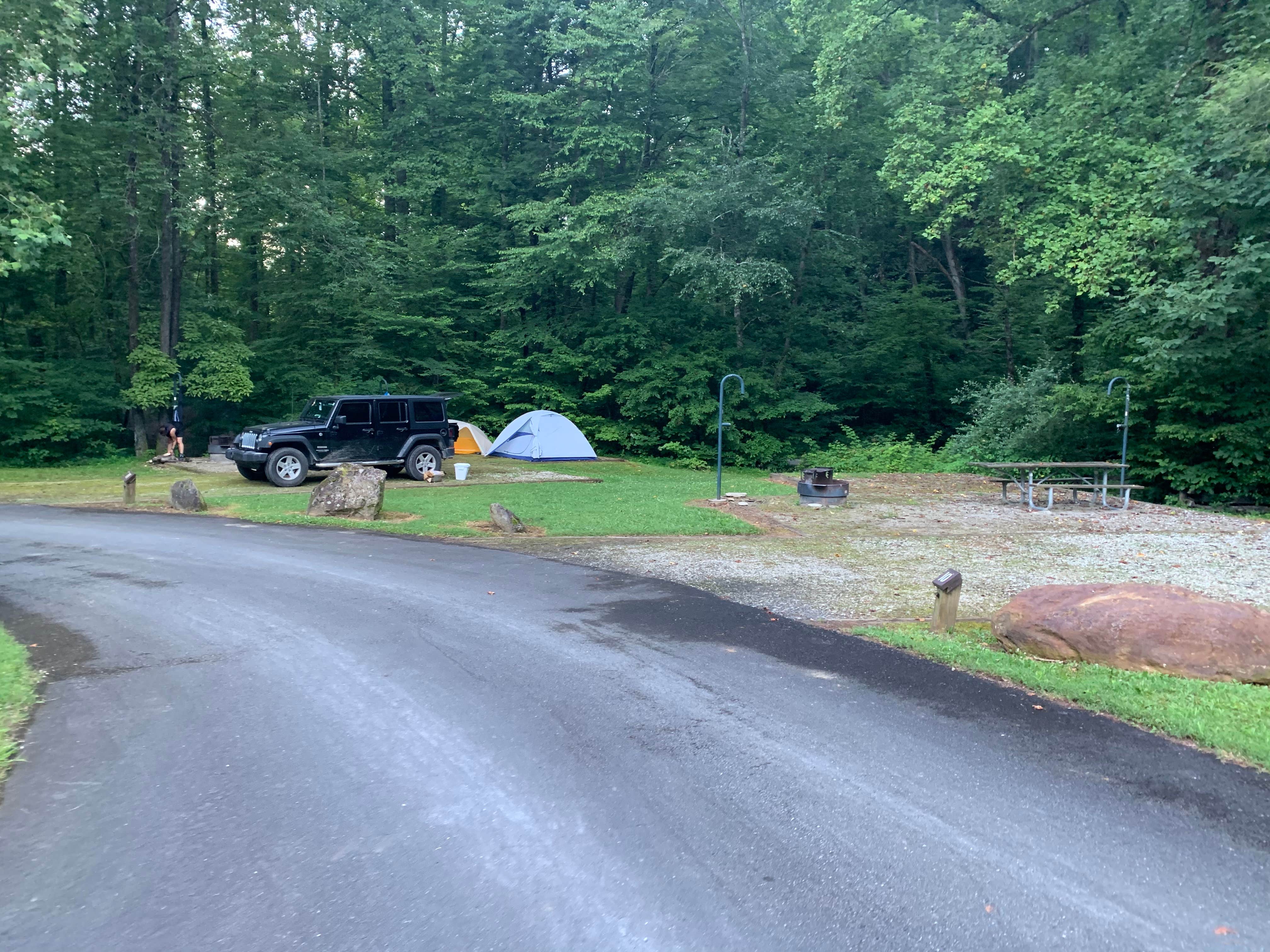 Camper submitted image from Curtis Creek Campground - 4