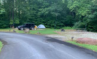 Elizabeth G.'s photo at Curtis Creek Campground near Montreat, NC