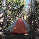 Review photo of South Colony Basin by Anthony P., July 8, 2020
