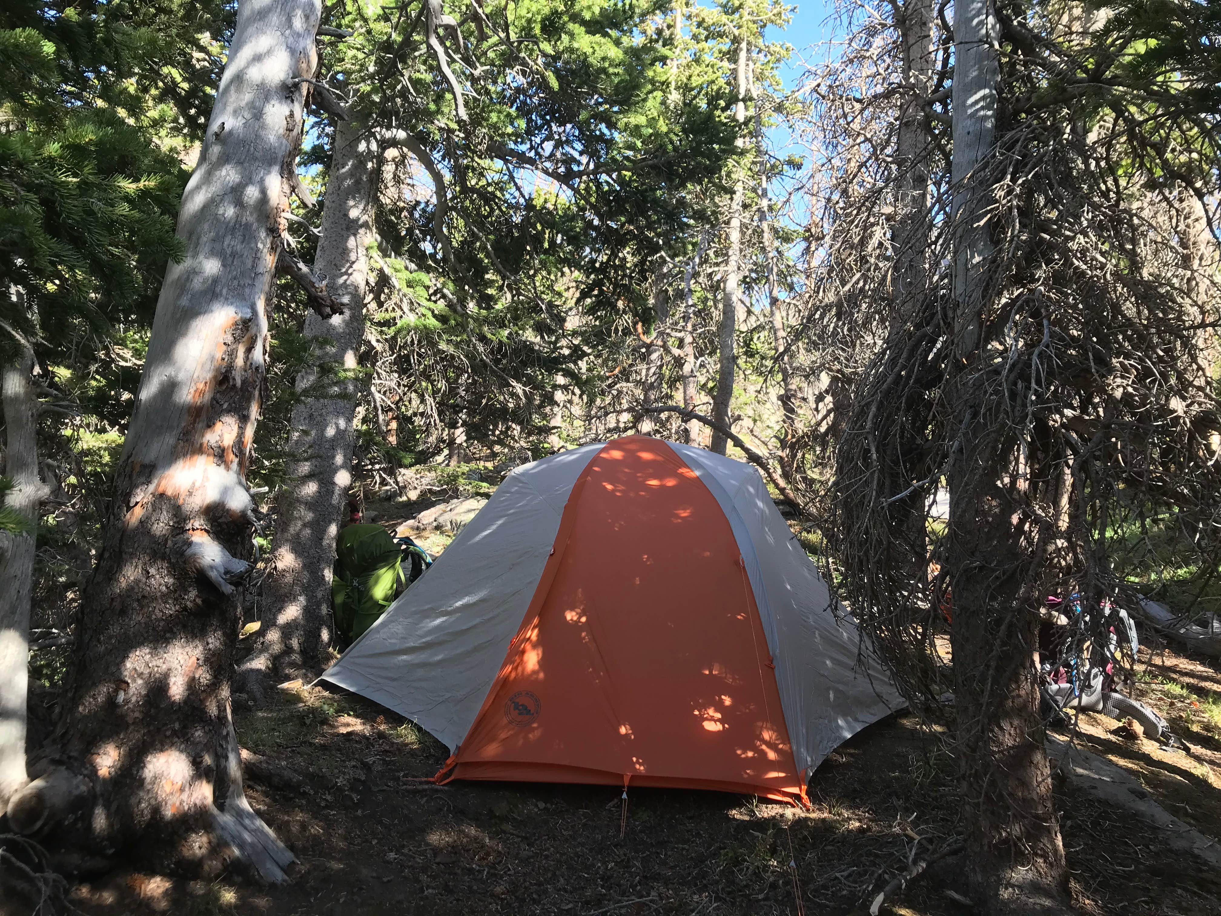 Camper submitted image from South Colony Basin - 4
