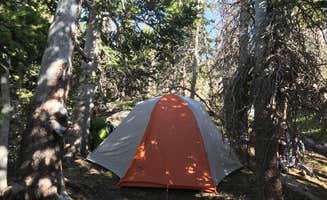 Anthony P.'s photo of a dispersed camping area at South Colony Basin near Westcliffe, CO