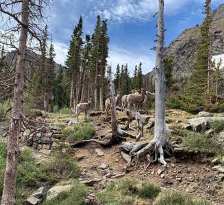 Camper-submitted photo from South Colony Basin