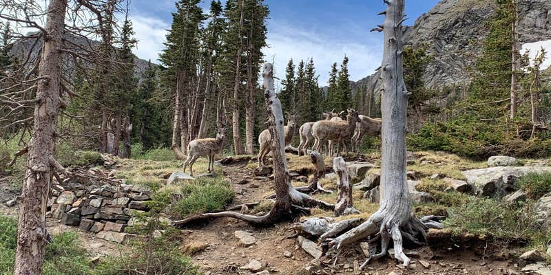 Camper submitted image from South Colony Basin