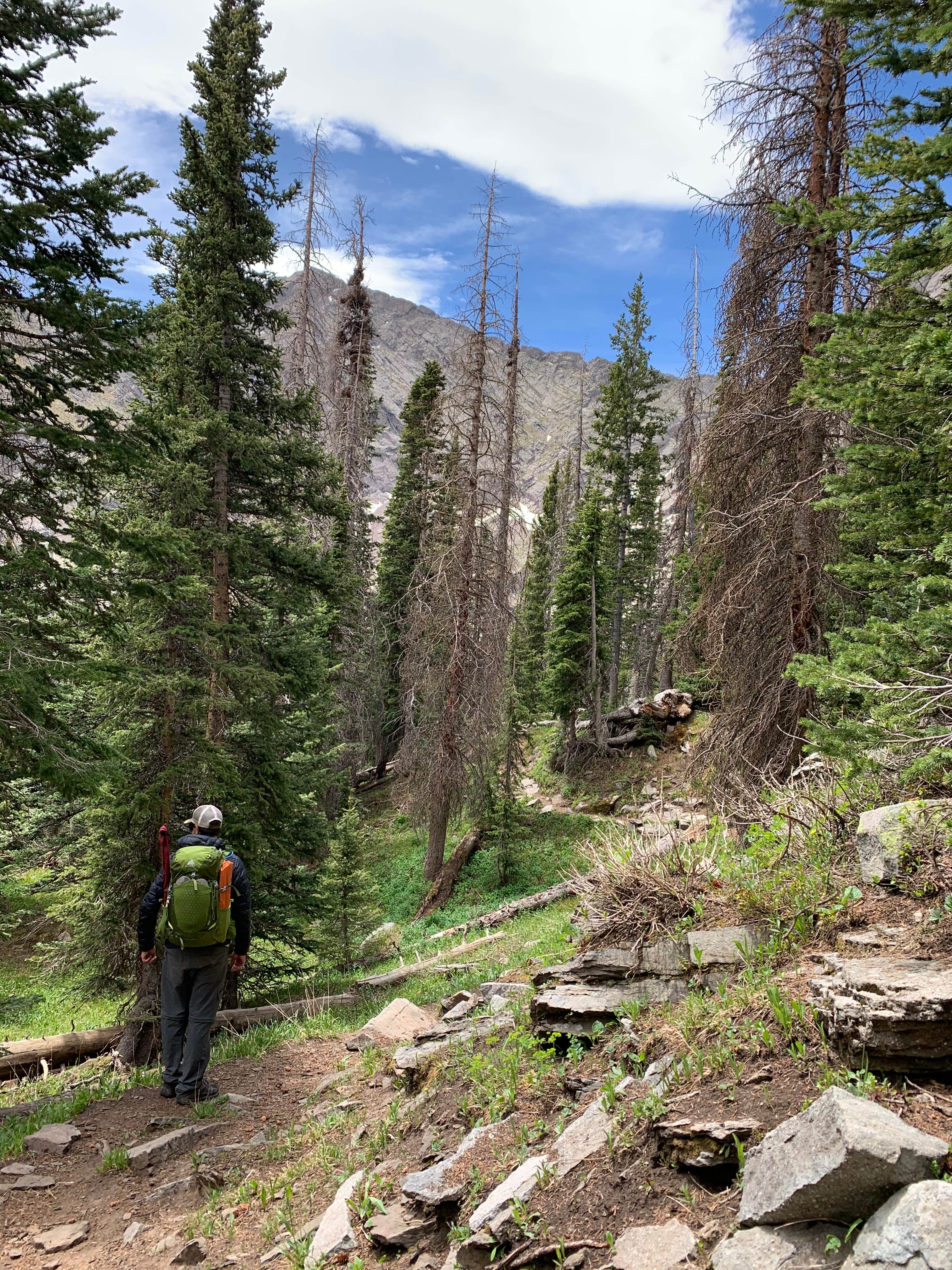 Camper-submitted photo at South Colony Basin near Crestone, CO