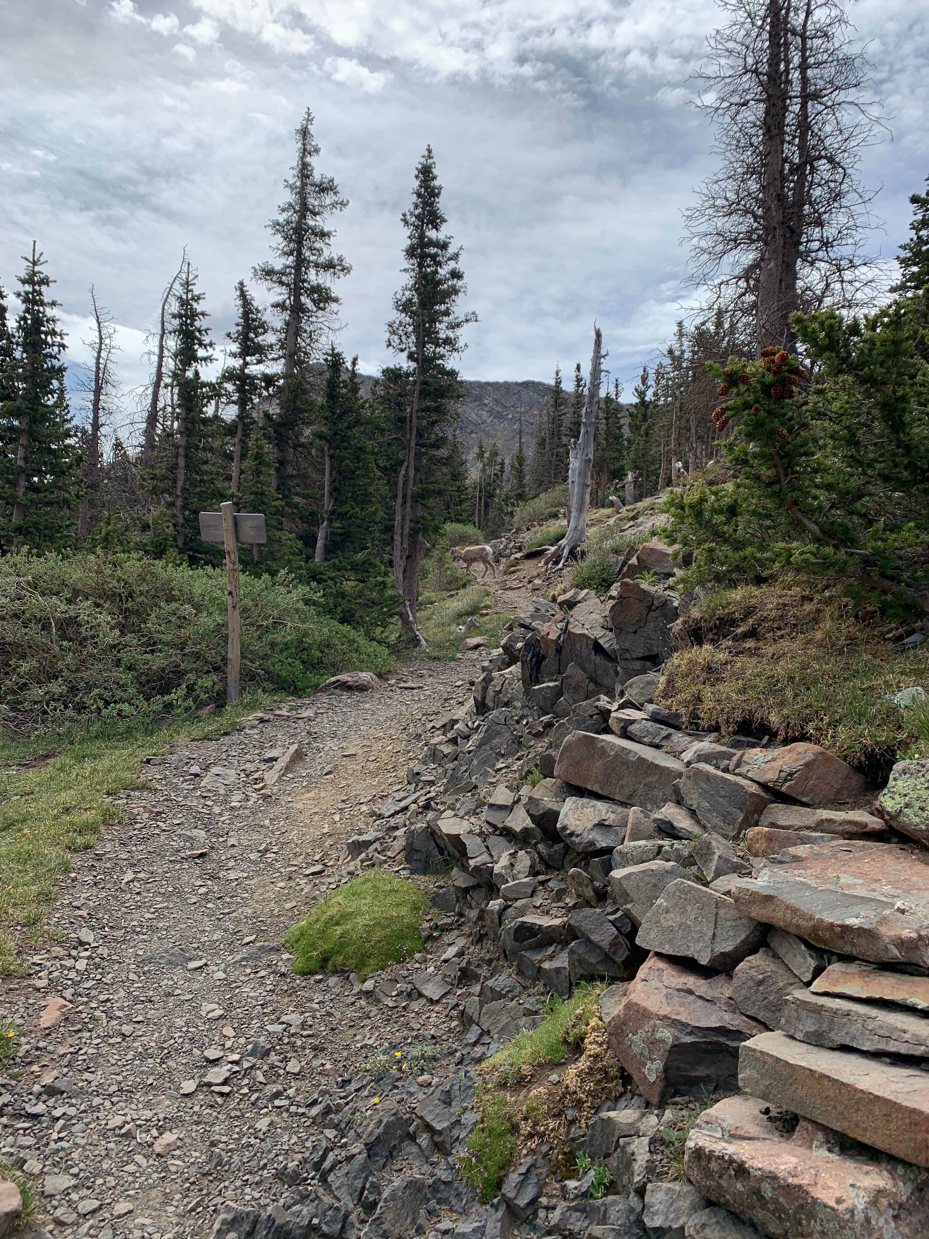 Camper-submitted photo at South Colony Basin near Crestone, CO