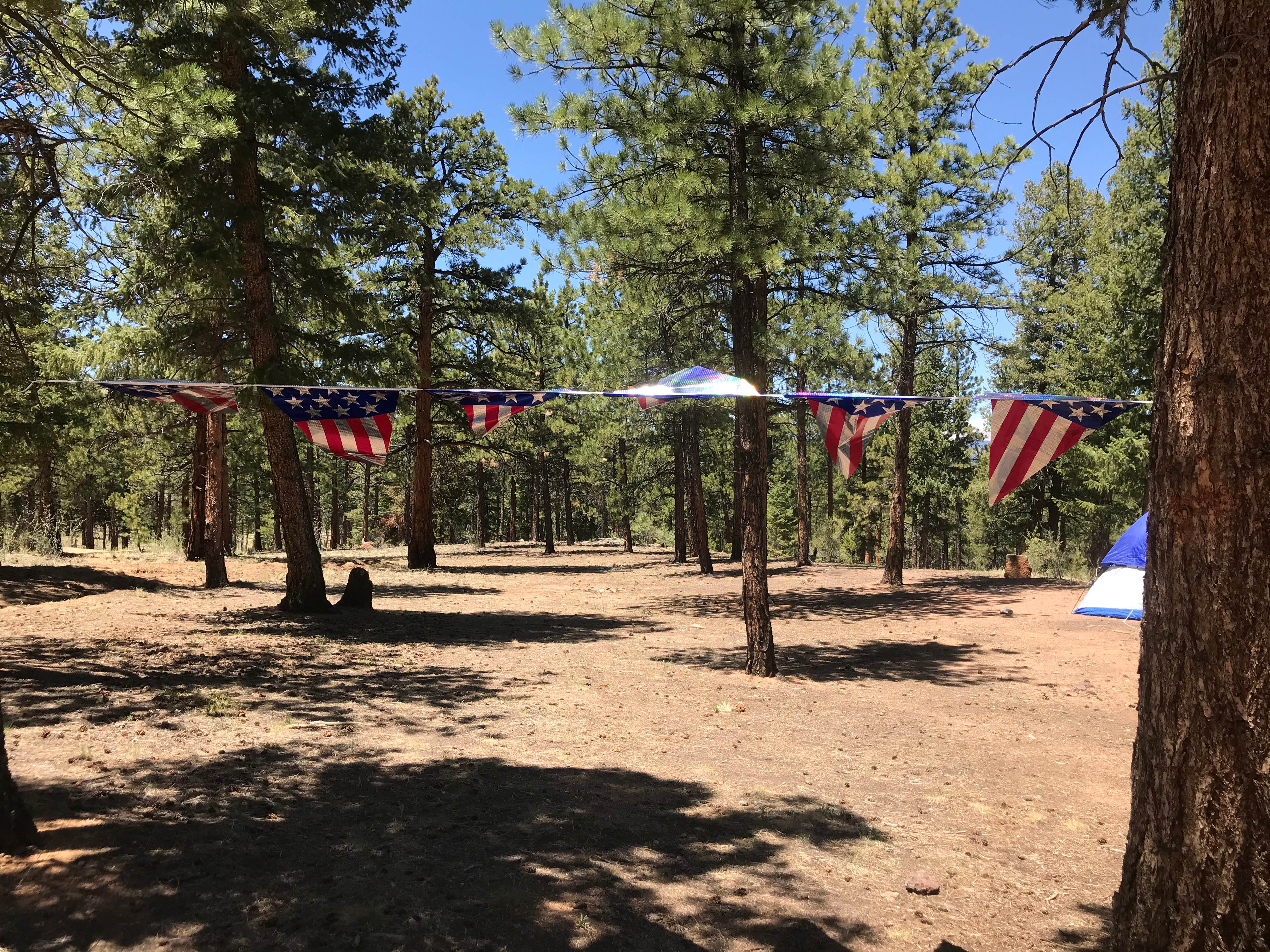 Anthony P.'s photo of a dispersed camping area at Buffalo Creek Recreation Area near Twin Lakes, CO
