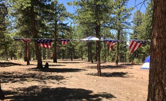 Anthony P.'s photo at Buffalo Creek Recreation Area near Deckers, CO