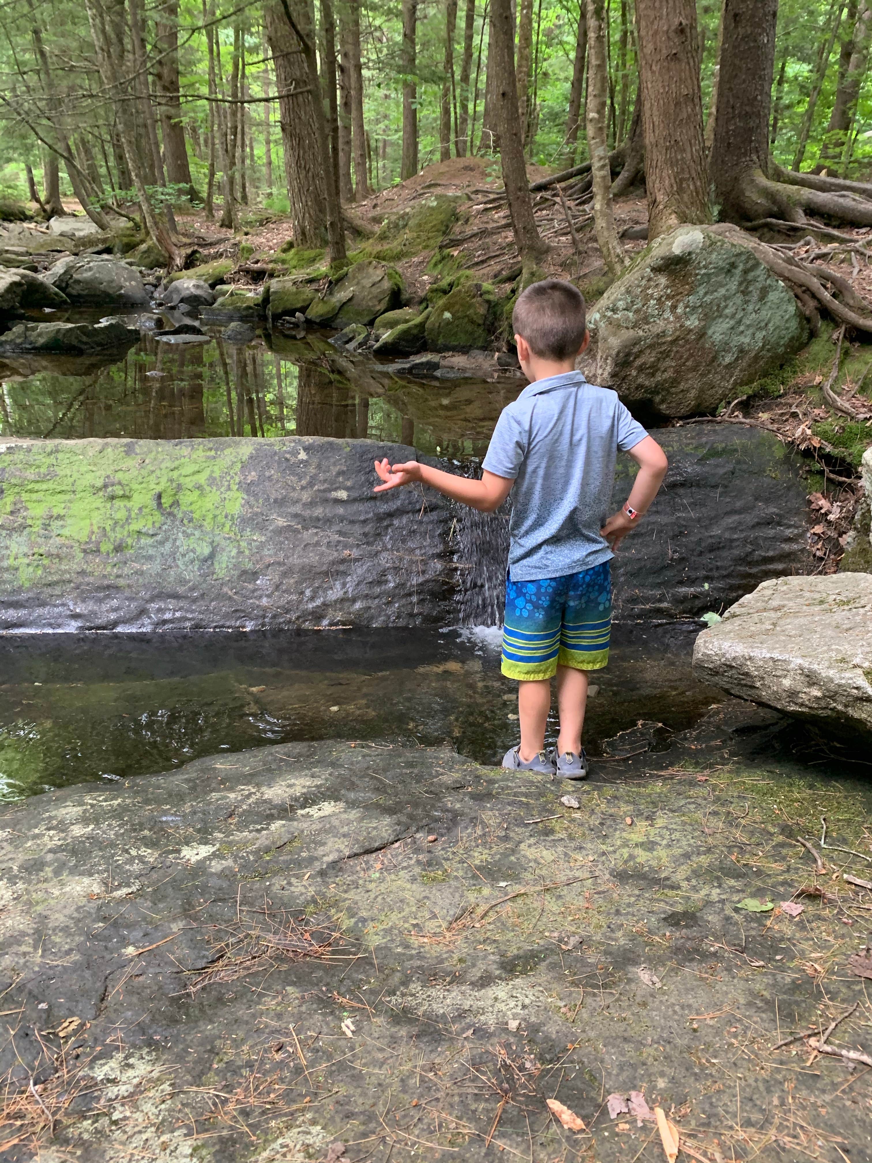Camper-submitted photo at Moose Hillock Camping Resort near Lyme, NH