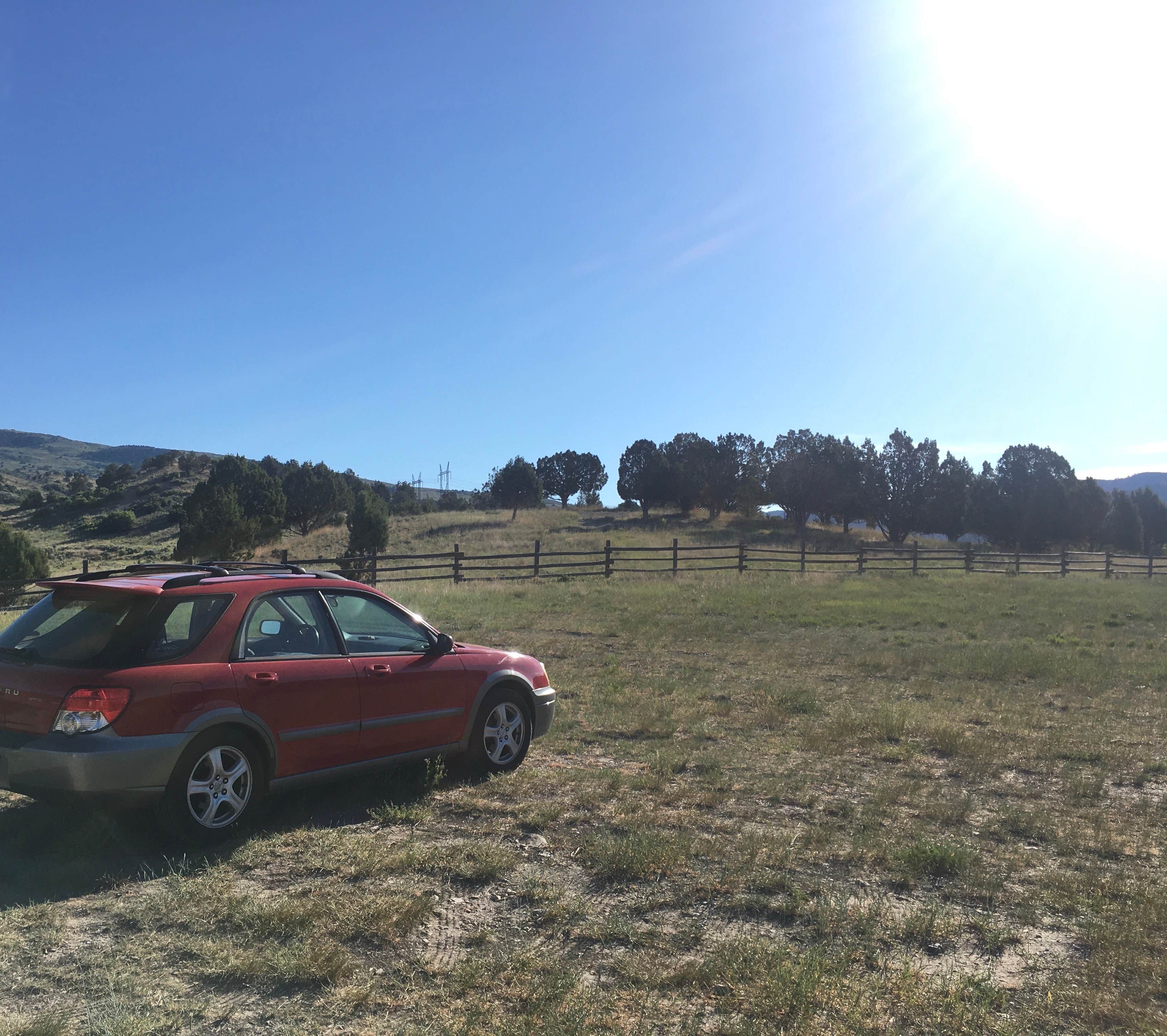 Camper-submitted photo at Sheep Creek near Payson, UT