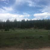 Review photo of Tom Best Spring Road FR117 Dispersed - Dixie National Forest by Spencer L., July 8, 2020