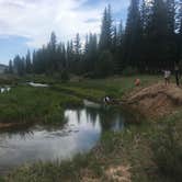 Review photo of Tom Best Spring Road FR117 Dispersed - Dixie National Forest by Spencer L., July 8, 2020