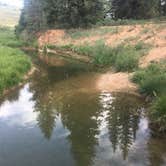 Review photo of Tom Best Spring Road FR117 Dispersed - Dixie National Forest by Spencer L., July 8, 2020