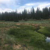 Review photo of Tom Best Spring Road FR117 Dispersed - Dixie National Forest by Spencer L., July 8, 2020