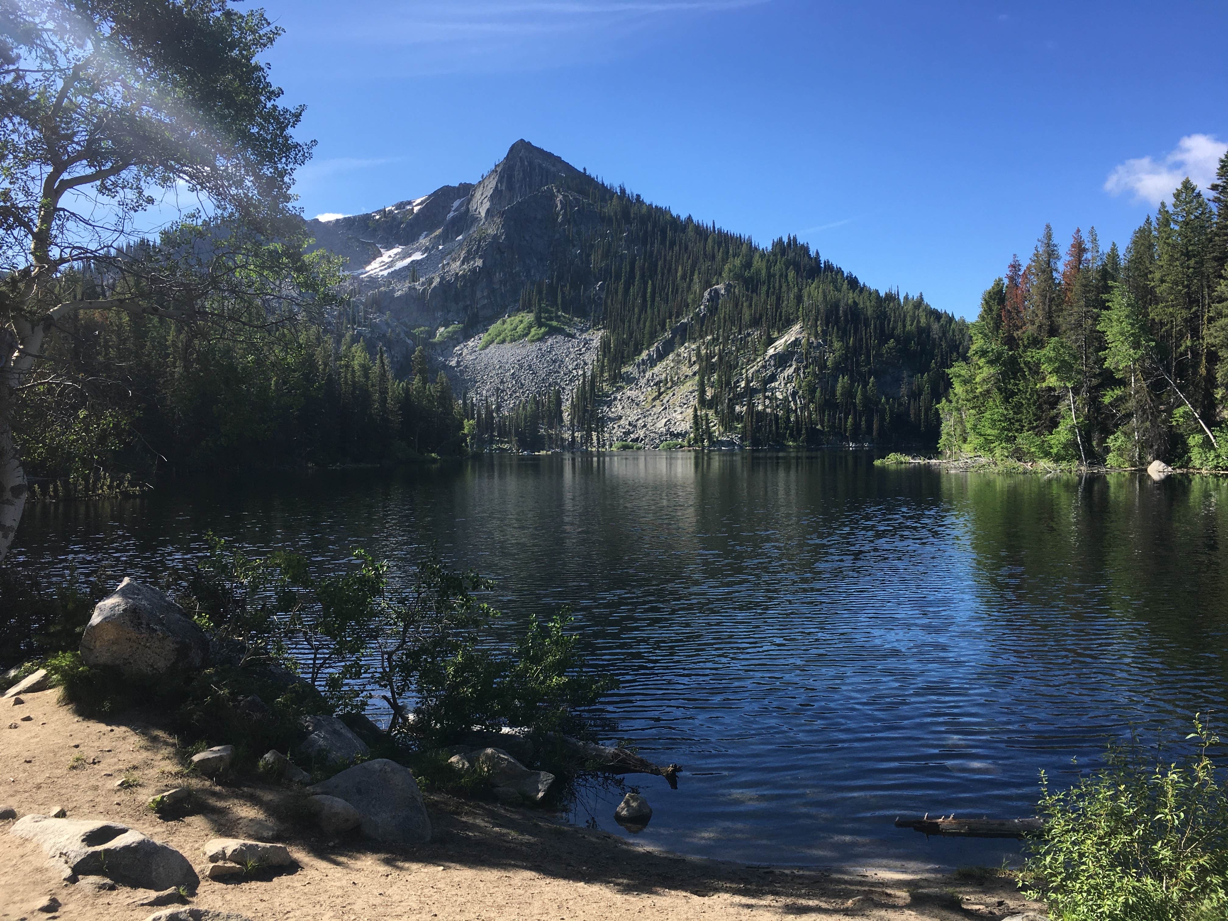 Spencer L.'s photo of a dispersed camping area at Lake Louie Dispersed Camping near Warren, ID