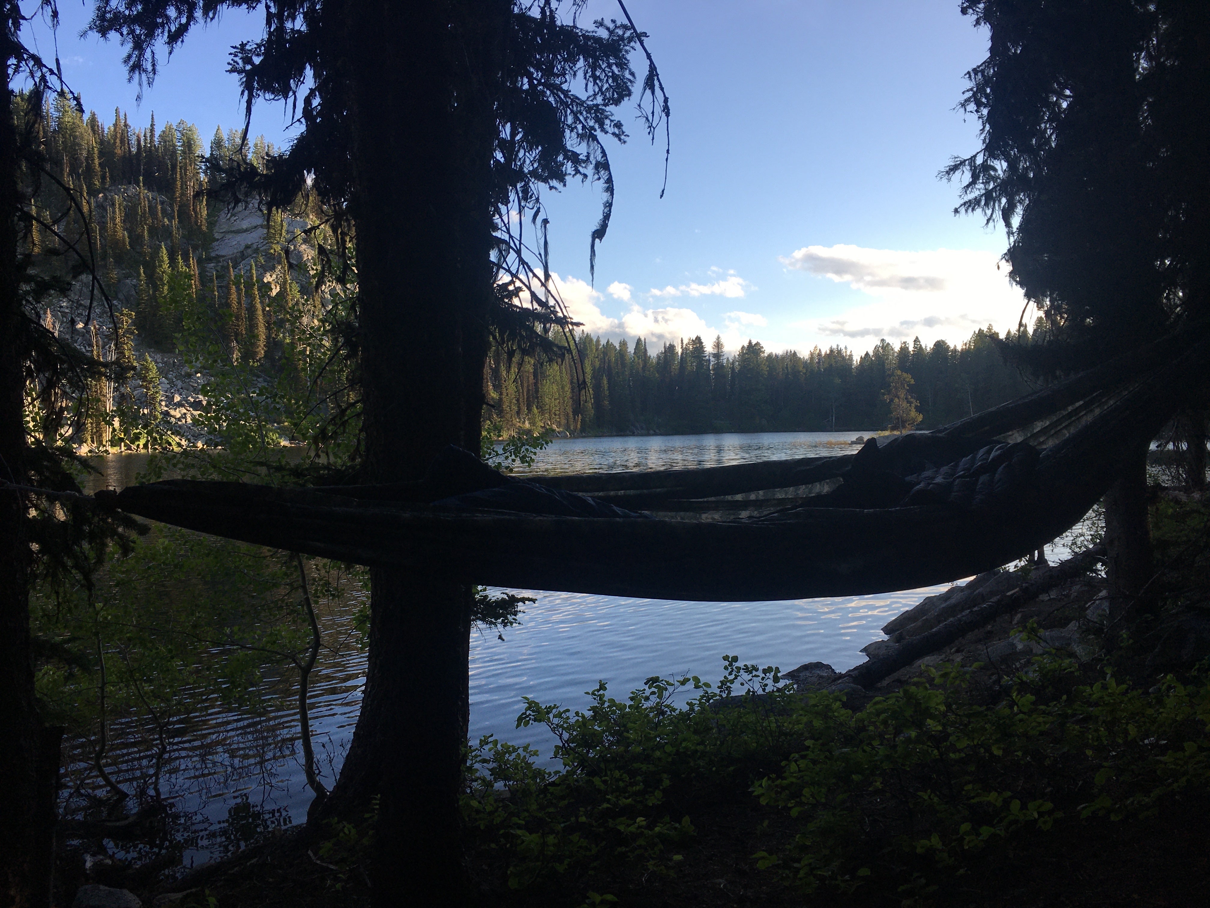 Camper submitted image from Lake Louie Dispersed Backcountry Camping - 4