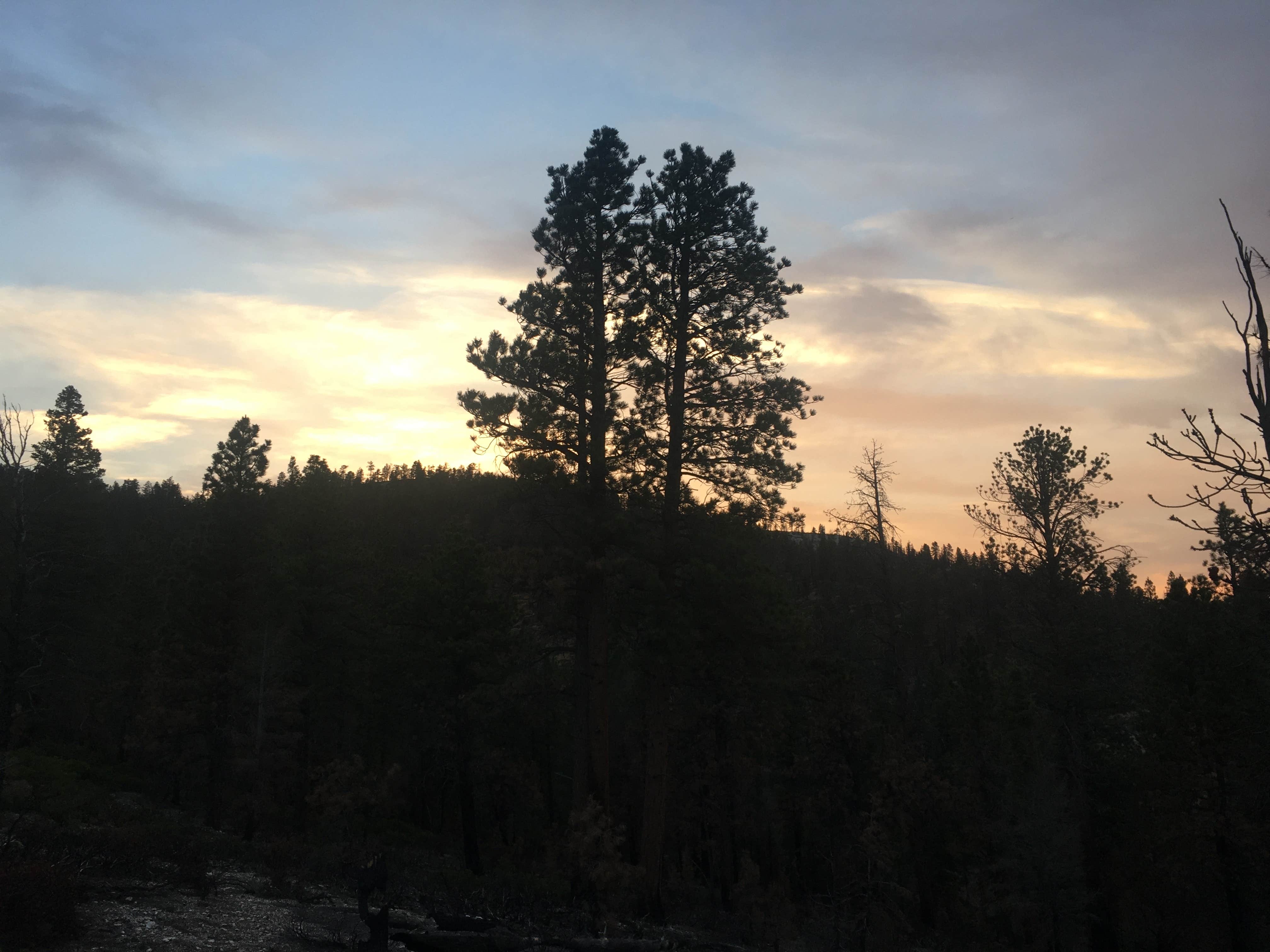 Spencer L.'s photo of a dispersed camping area at East Fork Sevier River Dispersed Campsites near Alton, UT