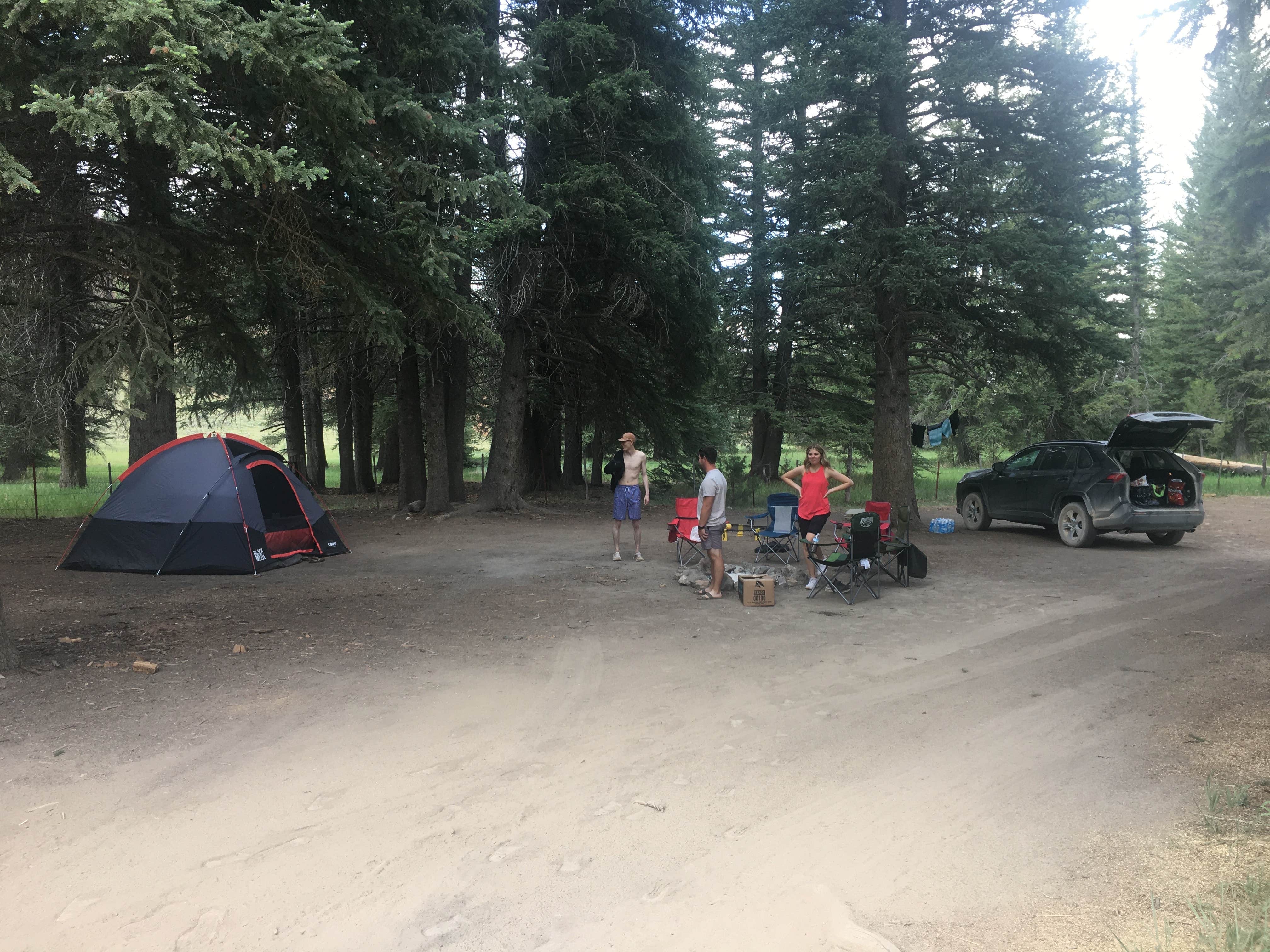 Camper submitted image from East Fork Sevier River Dispersed Campsites - 4
