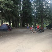 Review photo of East Fork Sevier River Dispersed Campsites by Spencer L., July 8, 2020