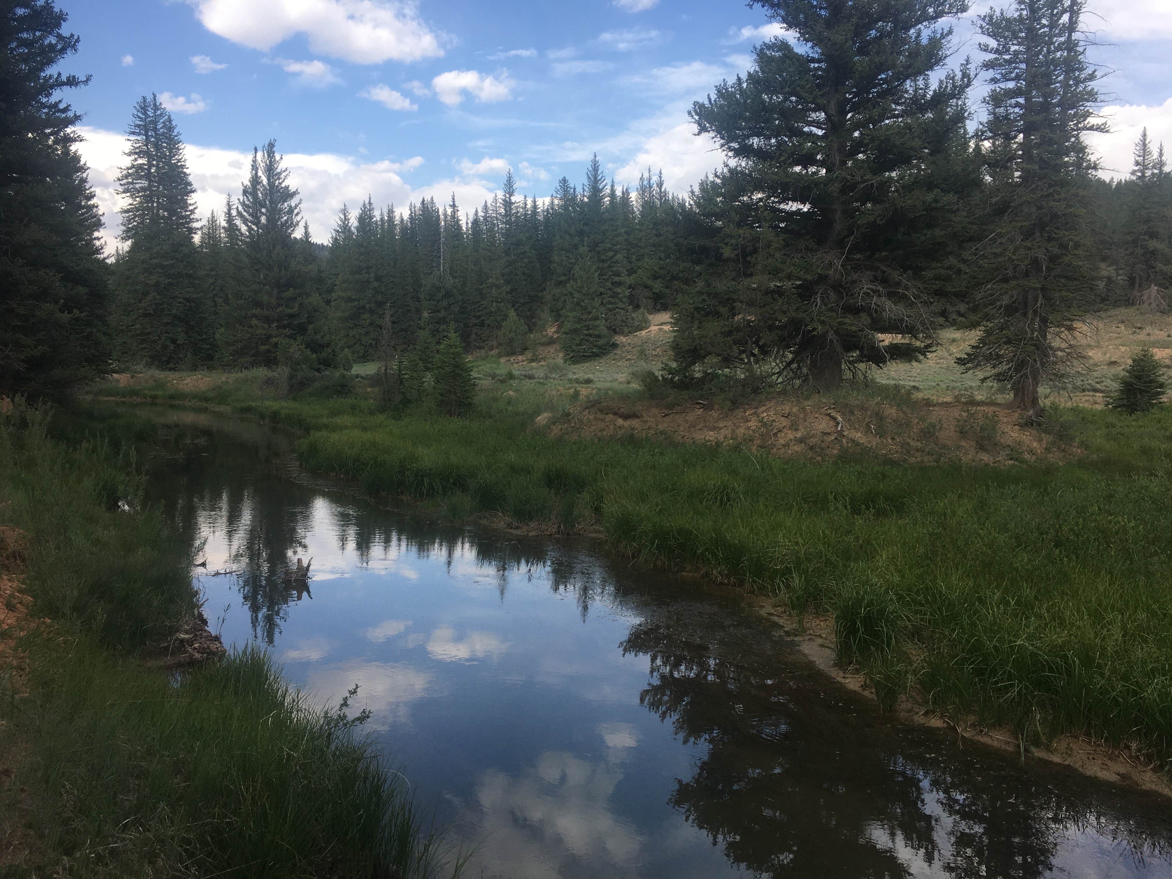 Camper-submitted photo at East Fork Sevier River Dispersed Campsites near Bryce Canyon National Park