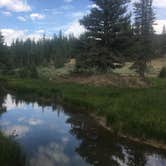 Review photo of East Fork Sevier River Dispersed Campsites by Spencer L., July 8, 2020