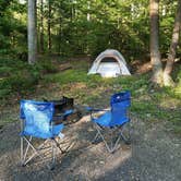 Review photo of Greenwood Furnace State Park Campground by Diane T., July 8, 2020