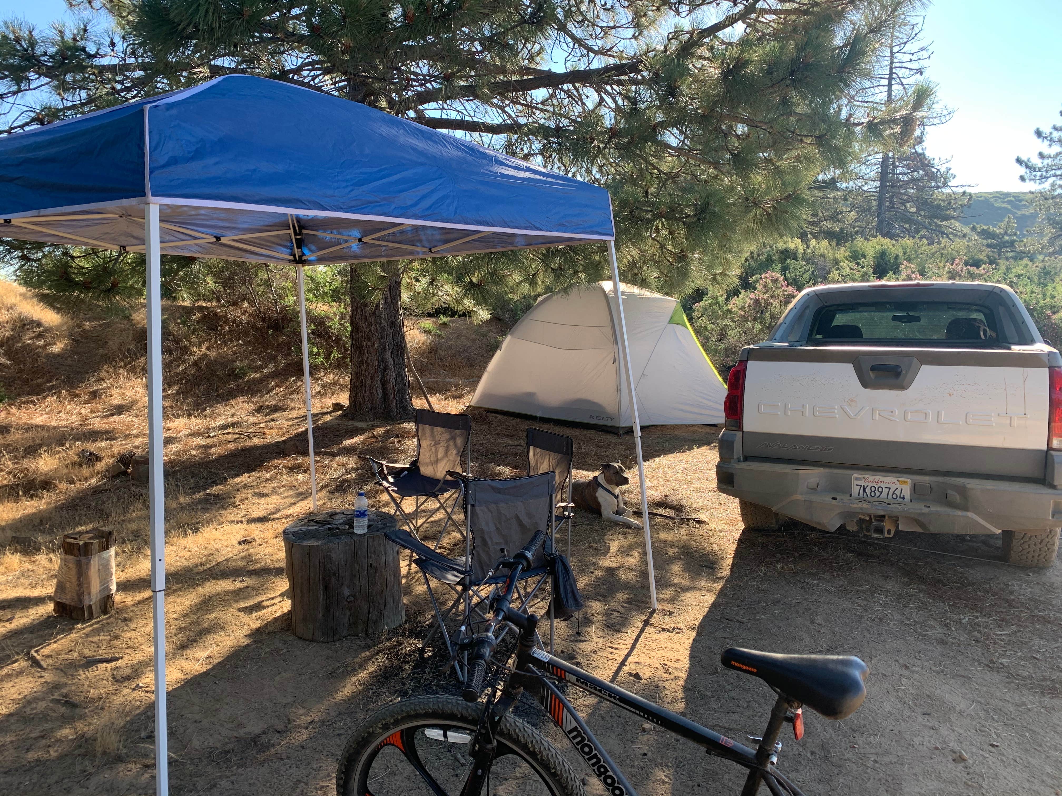 Camper submitted image from Miranda Pine Campground - 5