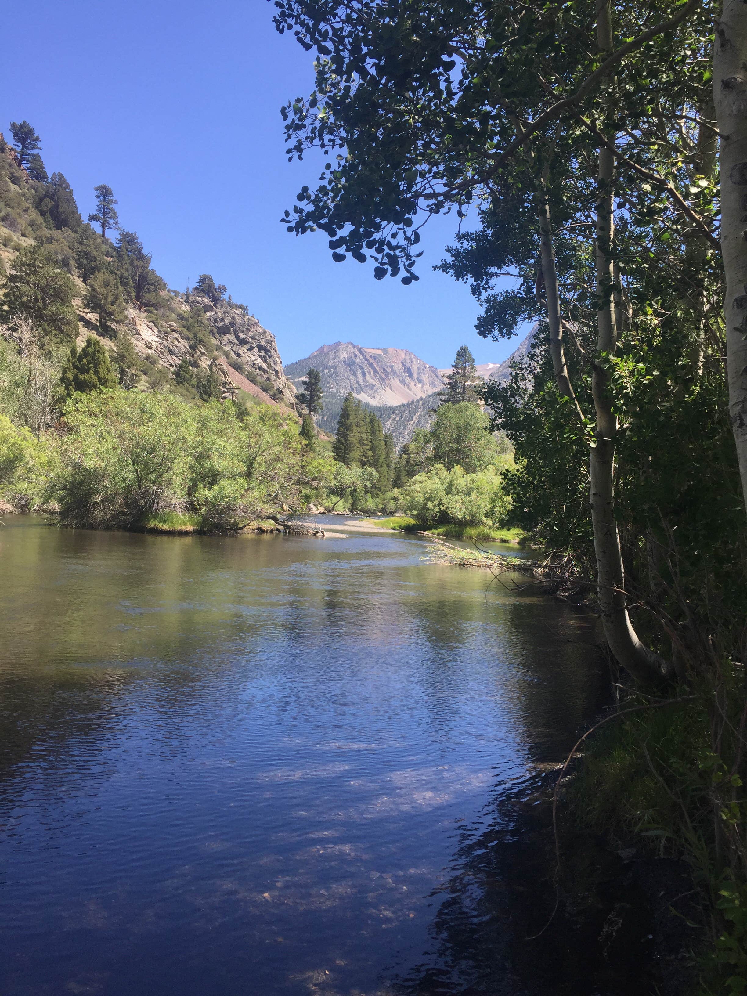 lake Alpine Lodgepole Campground Bear Valley CA