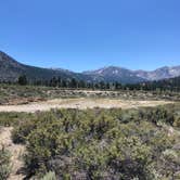 Review photo of June Lake Campground by Thomas K., July 8, 2020