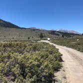 Review photo of June Lake Campground by Thomas K., July 8, 2020