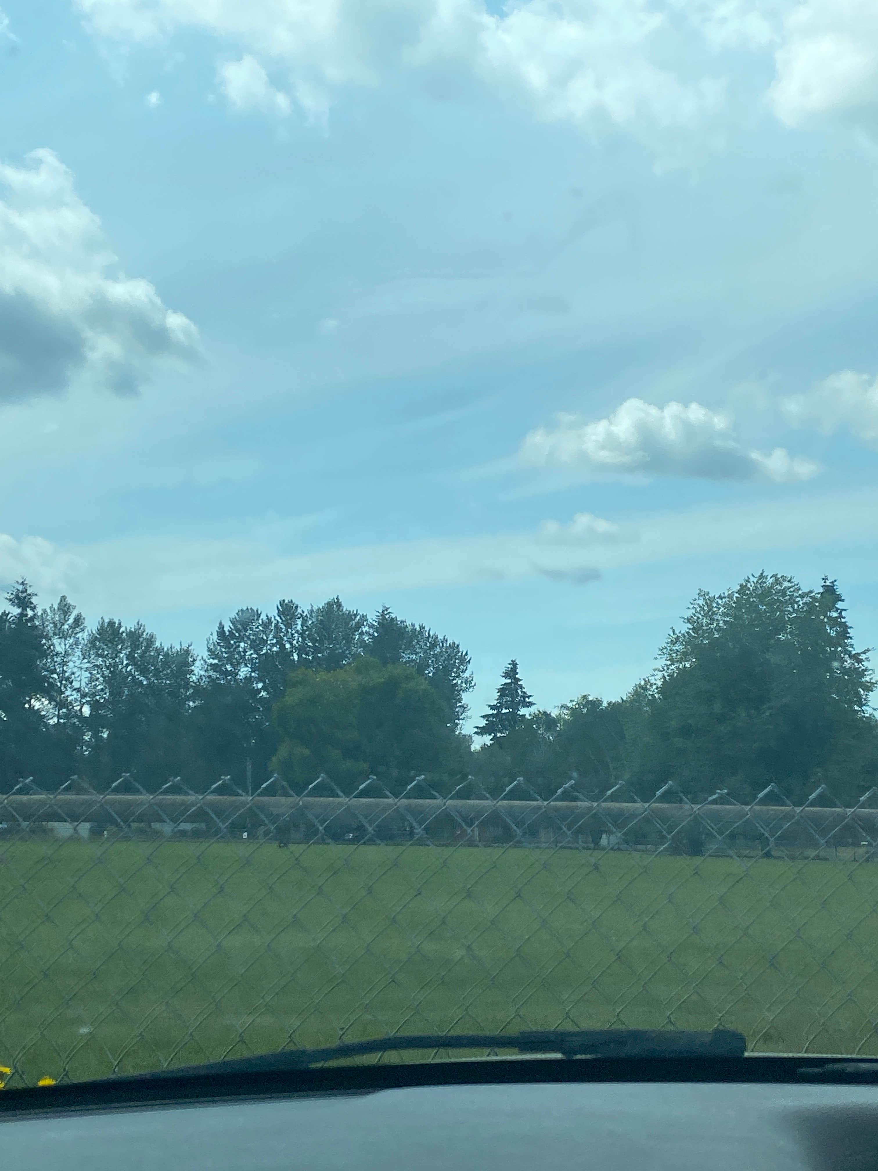 Camper-submitted photo at Majestic Mobile Manor & RV Park near Orting, WA