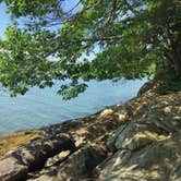 Review photo of Wolfe's Neck Oceanfront Campground by Michele S., July 8, 2020