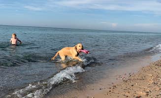 Kelly G.'s photo of camping with pets at Lake Superior State Forest Campground near Grand Marais, MI