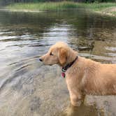 Review photo of Wagner Lake (MI) — Huron Manistee National Forests by Kelly G., July 8, 2020