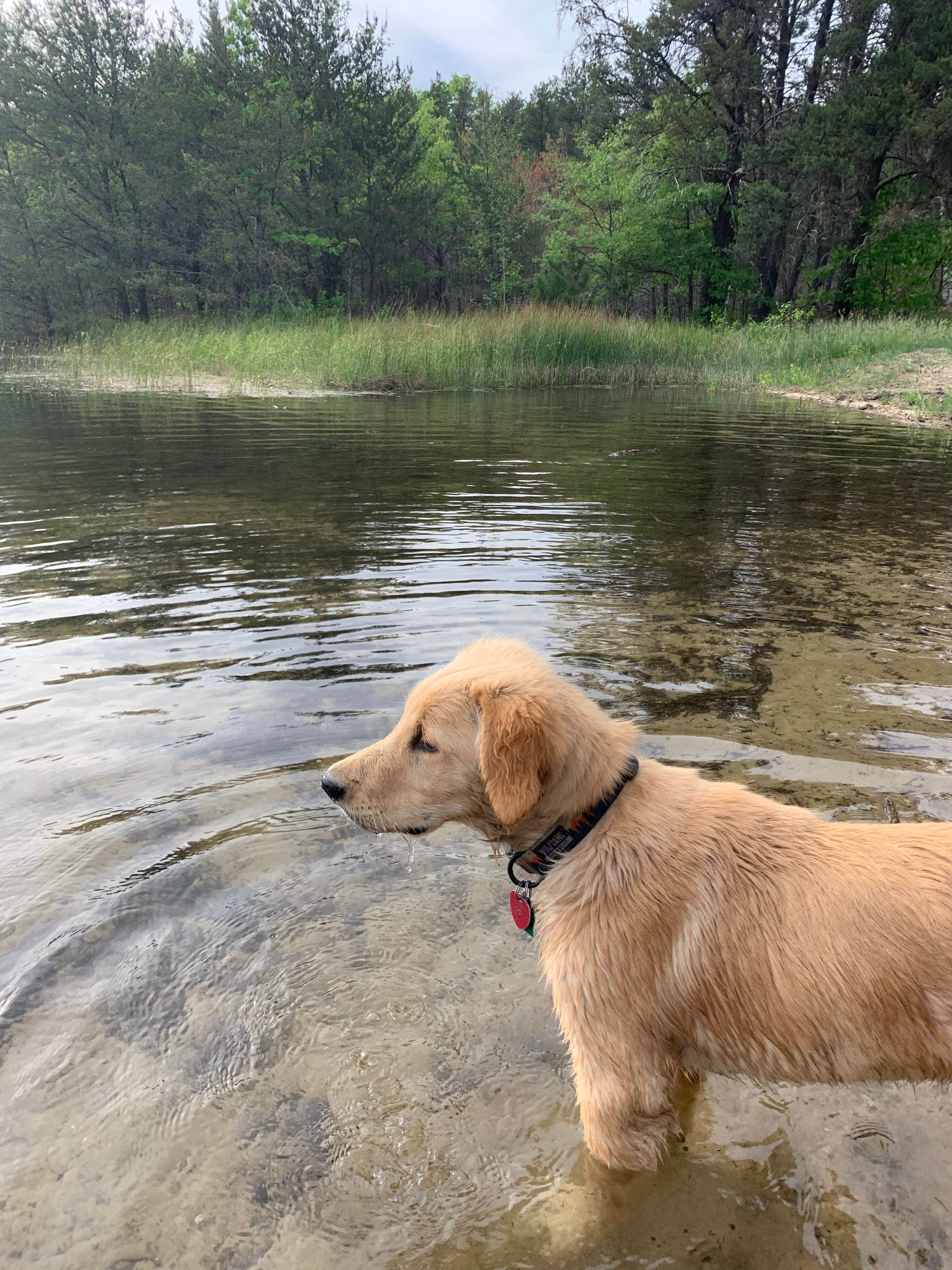 Camper submitted image from Wagner Lake (MI) — Huron Manistee National Forests - 5