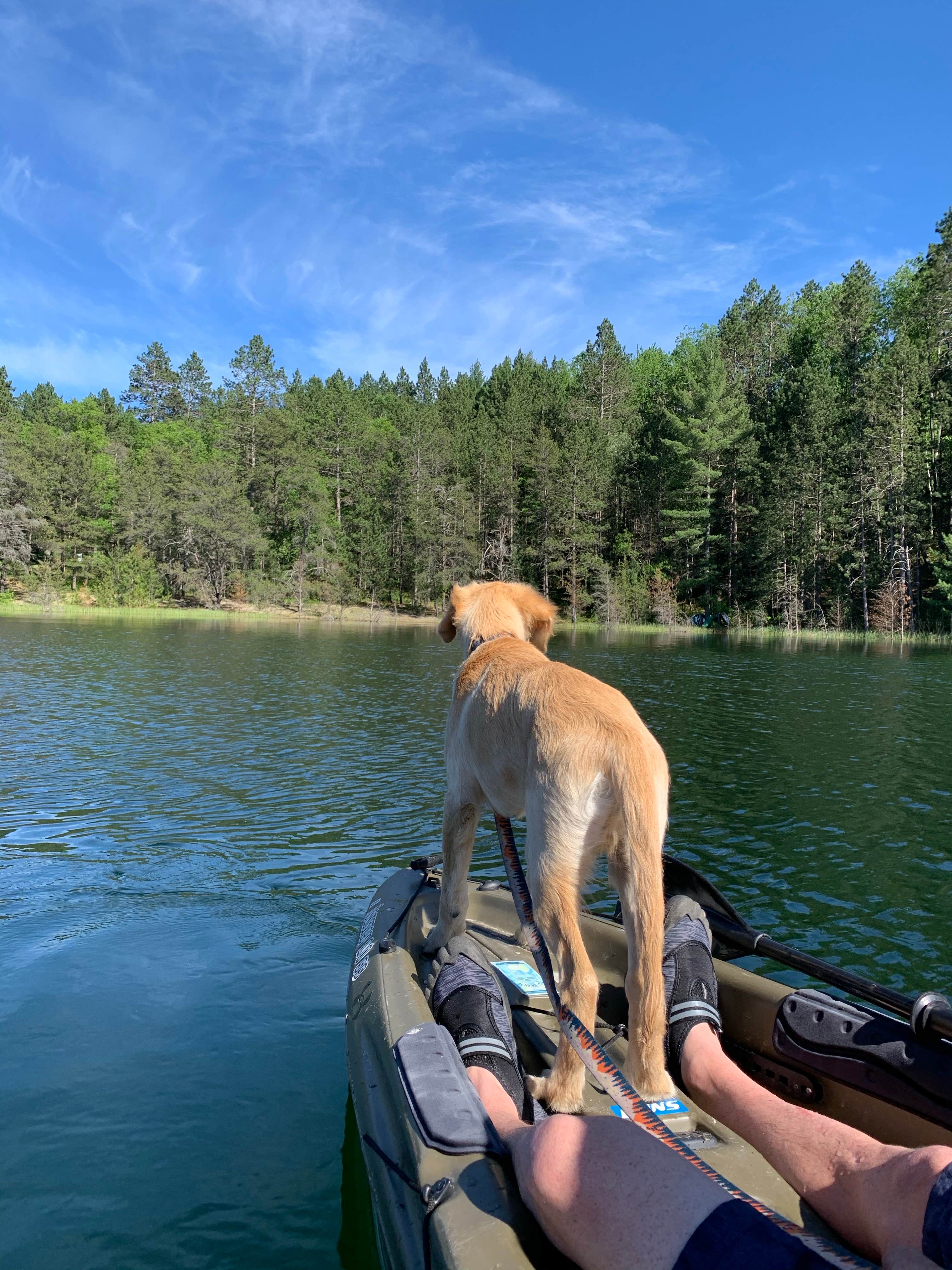 Camper submitted image from Wagner Lake (MI) — Huron Manistee National Forests - 2