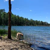 Review photo of Wagner Lake (MI) — Huron Manistee National Forests by Kelly G., July 8, 2020