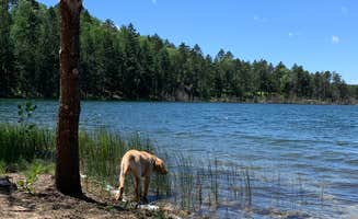 Kelly G.'s photo of camping with pets at Wagner Lake (MI) — Huron Manistee National Forests near Glennie, MI