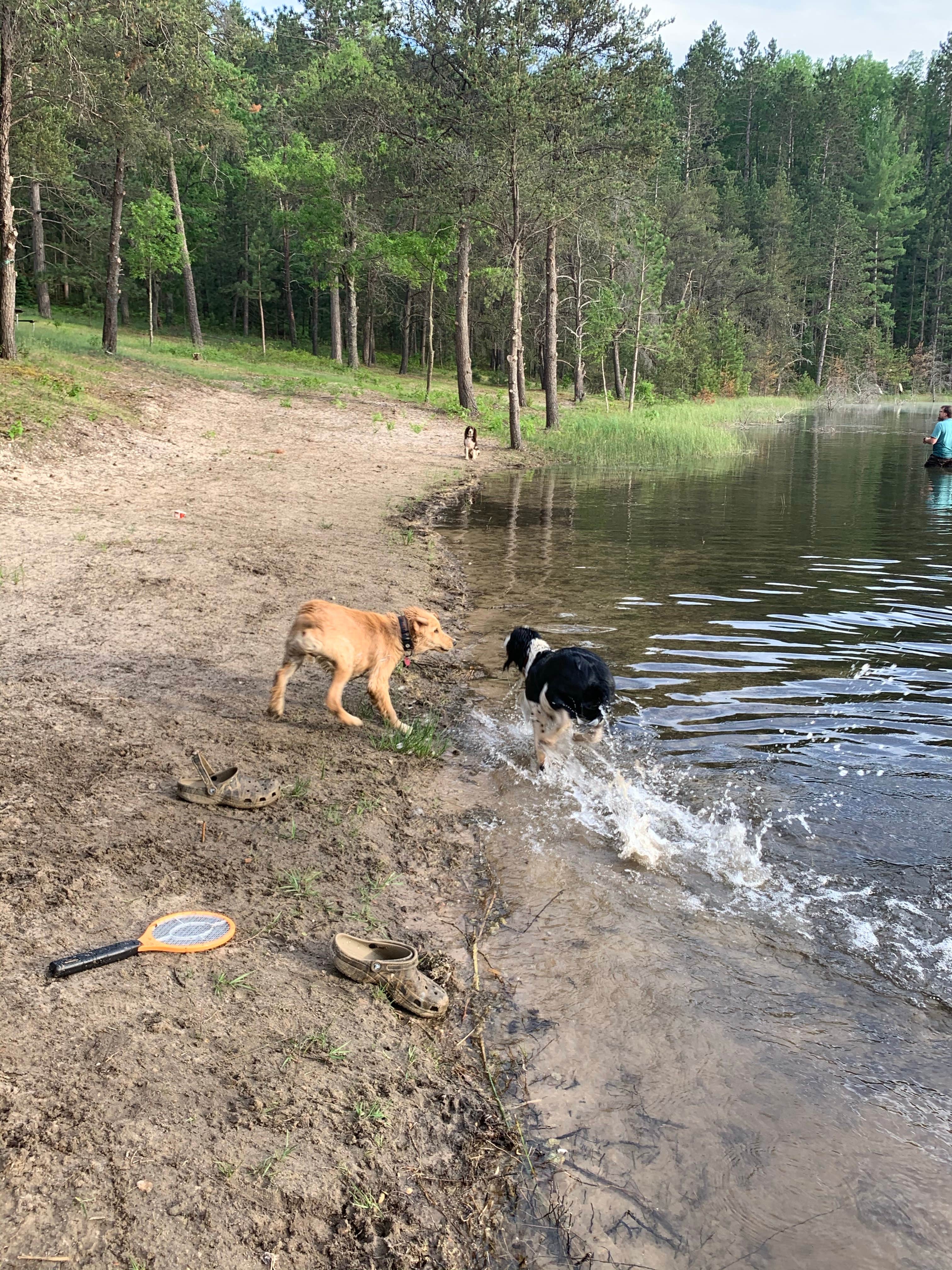 Kelly G.'s photo of camping with pets at Wagner Lake (MI) — Huron Manistee National Forests near Curran, MI