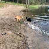 Review photo of Wagner Lake (MI) — Huron Manistee National Forests by Kelly G., July 8, 2020