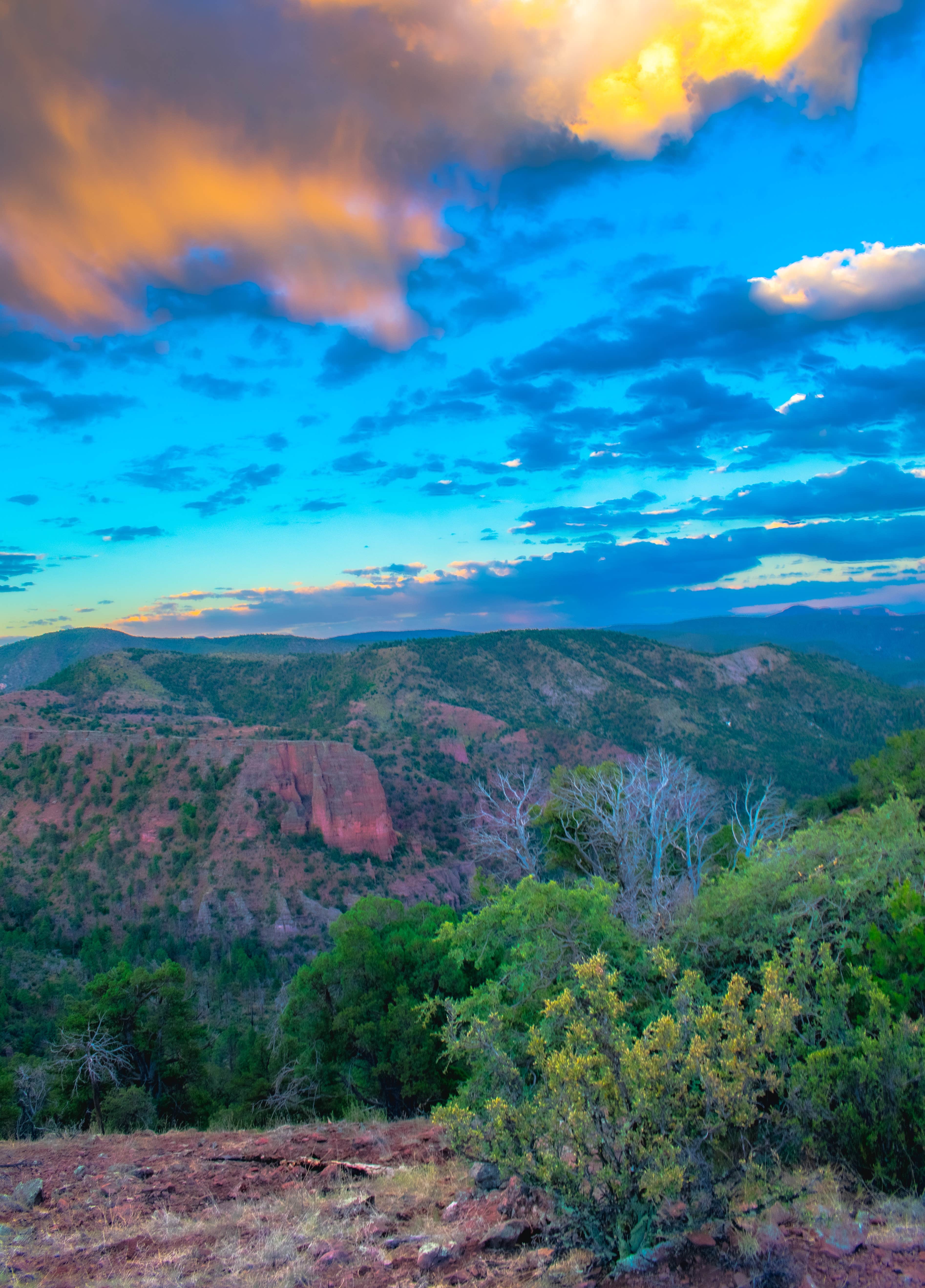 Camper-submitted photo at Upper Blue Campground near Alpine, AZ