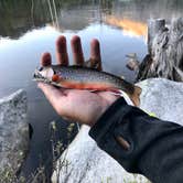 Review photo of Big Sandy Campground — Bridger Teton National Forest by Carrie C., July 8, 2020