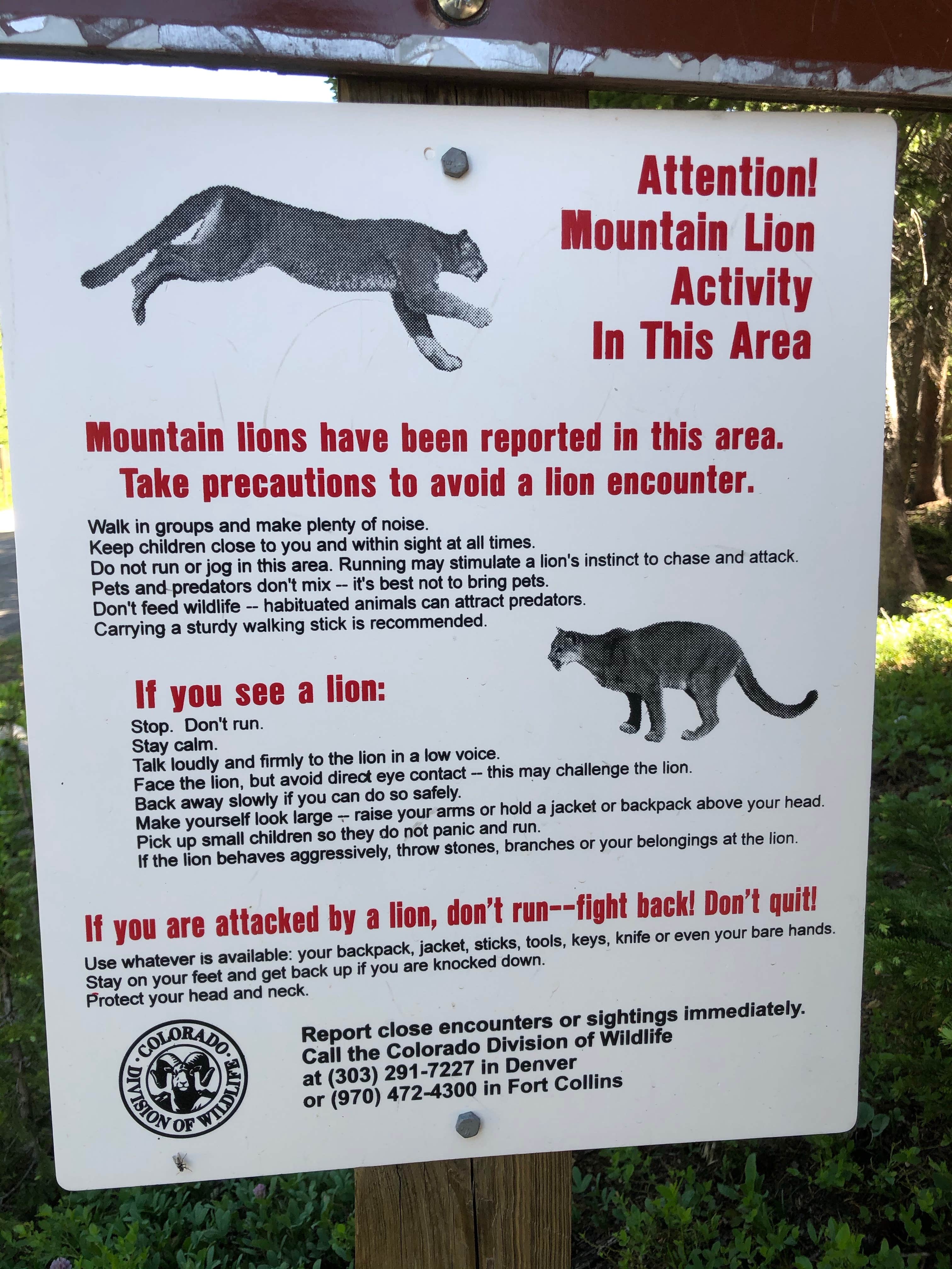 Camper submitted image from Brainard Lake Recreation Area - 2